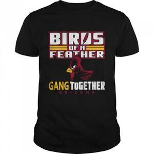 Bird Of A Feather Arizona Football Proud Fan Feather Gang Shirt